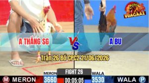 Trận 26 CPC2 21/06/2026 – Anh Bu Đá Gà Anh Thắng Quay Đầu Bỏ Chạy
