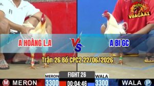 Trận 26 CPC2 22/06/2026 – Anh Hoàng LA Đánh Bại Anh Bi Dễ Dàng