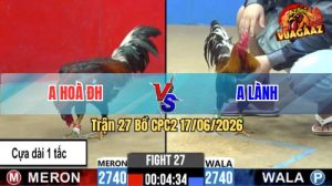 Trận 27 CPC2 17/06/2026 – Gà Điều Anh Lành Đá Đòn Cựa Quá Nghiệt