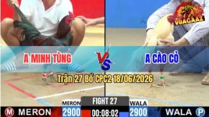 Trận 27 CPC2 18/06/2026 – Gà Que Anh Minh Tùng Đá Cựa Quá Khủng