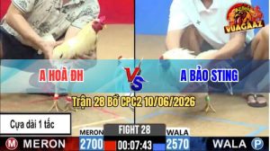 Trận 28 CPC2 10/06/2026 - Anh Hoà Đức Hoà Đánh Bại Anh Bảo Sting