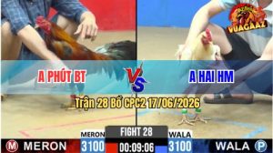 Trận 28 CPC2 17/06/2026 – Anh Phúc Hạ Anh Hai Trong 3 Nốt Nhạc
