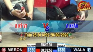 Trận 28 CPC2 20/06/2026 – Gà Anh Khàn Đá 1 Chân Bằng Đỏ Đá 10 Chân