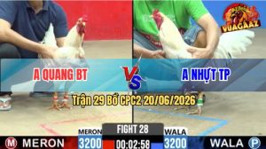 Trận 29 CPC2 20/06/2026 – Gà Úa Đá Bướm Còn Ăn 2 Mà Không Nuốt Nổi