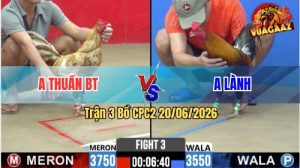 Trận 3 CPC2 20/06/2026 – Anh Thuần Bến Tre Không Cho Xanh Cơ Hội