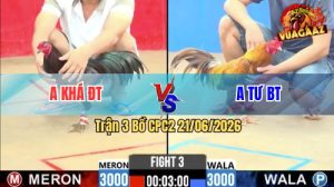 Trận 3 CPC2 21/06/2026 – Gà Khét Mà Đá Que Thì Lấy Tiền Mua Xe