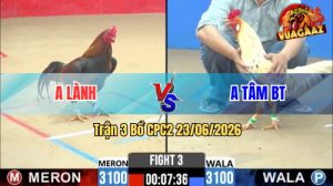 Trận 3 CPC2 23/06/2026 – Anh Lành May Độ Khi Lật Ngược Thế Cờ