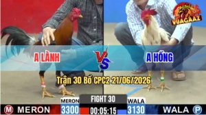 Trận 30 CPC2 21/06/2026 – Gà Bướm Anh Hồng Đá Nhanh Như Chớp
