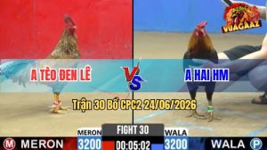 Trận 30 CPC2 24/06/2026 – Gà Điều Anh Hai Siết Mấy Chân Hốt Bạc