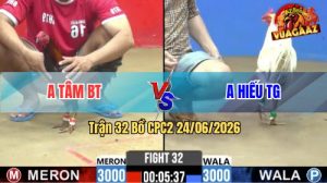 Trận 32 CPC2 24/06/2026 – Gà Bướm Anh Hiếu Tiền Giang Quá Lì Đòn