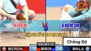 Trận 33 CPC3 08/06/2026 - Gà Bướm Hiệu Anh Kiểm Cà Mau Đá Có Khác
