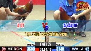 Trận 35 CPC2 20/06/2026 – Gà Anh Sáu BT Chấp Sâu Mà Vẫn Về Bờ