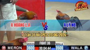 Trận 35 CPC2 22/06/2026 – Gà Anh Hoàng Triệt Gãy Chân Gà Anh Lý