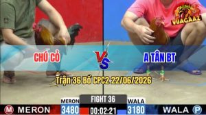 Trận 36 CPC2 22/06/2026 – Gà Khét Chú Cỏ Đá Đòn Cựa Quá Tịch