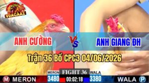 Trận 36 CPC3 Ngày 04/06/2026 Tại Vua Gà AZ