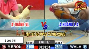Trận 37 CPC2 22/06/2026 – Anh Hoàng Long An Hạ Gọn Anh Thắng VL