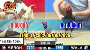 Trận 37 CPC2 Ngày 06/06/2026 Tại Vua Gà AZ