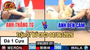 Trận 37 CPC3 Ngày 04/06/2026 Tại Vua Gà AZ