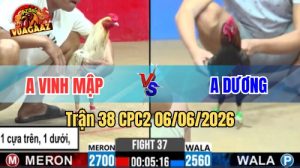 Trận 38 CPC2 Ngày 06/06/2026 Tại Vua Gà AZ