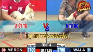 Trận 4 CPC2 22/06/2026 – Gà Anh Út Đâm Quá Nghiệt, Xanh Hết Cứu