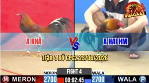 Trận 4 CPC2 23/06/2026 – Gà Anh Khá Đá Cựa Đâm Như Sát Thủ