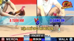 Trận 4 CPC3 18/06/2026 – Gà Điều Anh Tuấn Đá Xanh Chạy Quanh Bồ