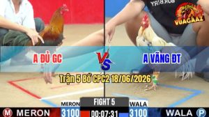 Trận 5 CPC2 18/06/2026 – Anh Đủ Gò Công Đánh Bại Anh Vãng ĐT