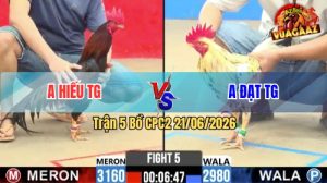Trận 5 CPC2 21/06/2026 – Gà Que Anh Hiếu Đá Cái Bo Như Xe Tải Đụng