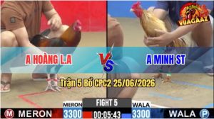 Trận 5 CPC2 25/06/2026 – Gà Camelo Anh Minh Siết Mấy Chân Lụm Tiền