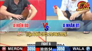 Trận 6 CPC2 20/06/2026 – Gà Anh Hiếu Bình Dương Đá Toàn Cựa Tịch