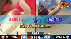 Trận 7 CPC2 18/06/2026 – Gà Bướm Anh Dũng Đá Cựa Dính Như Keo