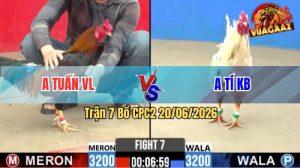 Trận 7 CPC2 20/06/2026 – Anh Tuấn Vĩnh Long Đụng Độ Với Anh Tí KB