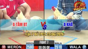 Trận 7 CPC2 23/06/2026 – Gà Úa Anh Tâm Đá Quá Nhanh Quá Nguy Hiểm