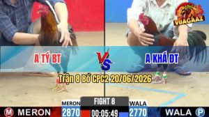 Trận 8 CPC2 20/06/2026 – Gà Anh Khá Canh Chặn Đâm 1 Cây Ngay Mu Lưng