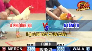 Trận 8 CPC2 21/06/2026 – Anh Tâm Không Cho Anh Phương Cơ Hội Nào