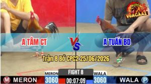 Trận 8 CPC2 25/06/2026 – Gà Xám Anh Tâm CT Đá Mấy Chân Hốt Bạc
