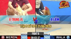 Trận 9 CPC2 21/06/2026 – Gà Cú Anh Liên Quá Nhanh Quá Nguy Hiểm