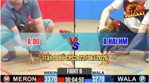 Trận 9 CPC2 23/06/2026 – Gà Khét Anh Hai Đá Cựa Đâm Quá Dã Man
