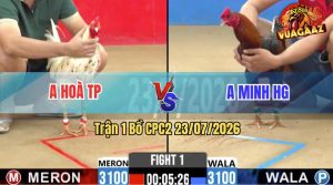 Trận 1 CPC2 23/07/2026 – Gà Anh Hoà TP Mở Bát Quá Mát Tay