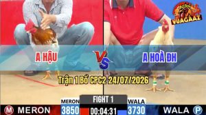 Trận 1 CPC2 24/07/2026 – Gà Camelo Anh Hậu Ra Quân Quá Thuận Lợi