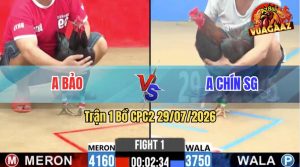 Trận 1 CPC2 29/07/2026 – Anh Bảo Gặp Anh Chín Ở Trận Mở Màn