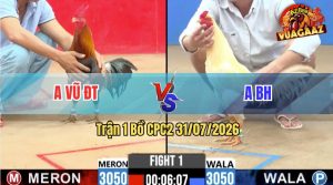 Trận 1 CPC2 31/07/2026 – Gà Úa Anh BH Mở Màn Quá Thuận Lợi