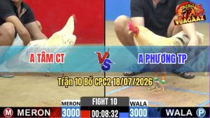 Trận 10 CPC2 18/07/2026 – Gà Anh Bé Bến Tre Ra Sân Đá Như Phát Xít