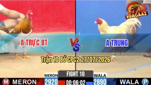 Trận 10 CPC2 27/07/2026 – Gà Úa Anh Trung Đá Cựa Toàn Canh Mu Lưng