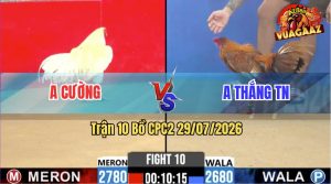 Trận 10 CPC2 29/07/2026 – Gà Khét Anh Thắng Đá Toàn Canh Đá Đầu Cần