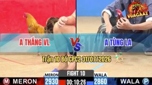 Trận 10 CPC2 31/07/2026 – Gà Điều Anh Tùng Gãy Giò Vẫn Phản Ăn Ngược