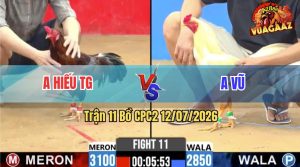 Trận 11 CPC2 12/07/2026 – Gà Anh Hiếu TG Có Chân Cựa Quá Tịch