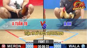 Trận 11 CPC2 14/07/2026 – Anh Tuân Không Cho Đối Thủ Cơ Hội Nào