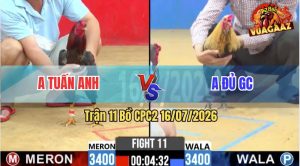 Trận 11 CPC2 16/07/2026 – Gà Chuối Tránh Trả Lại 1 Cây Điều Bỏ Chạy