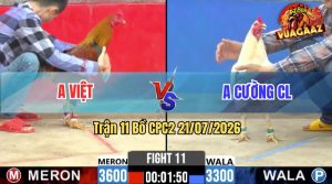 Trận 11 CPC2 21/07/2026 – Anh Cường CL Chấp Anh Việt 3 Chấm Và Cái Kết